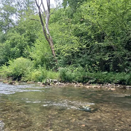 Lodge Lesnik Vacation