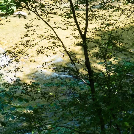 Lesnik Vacation Lodge